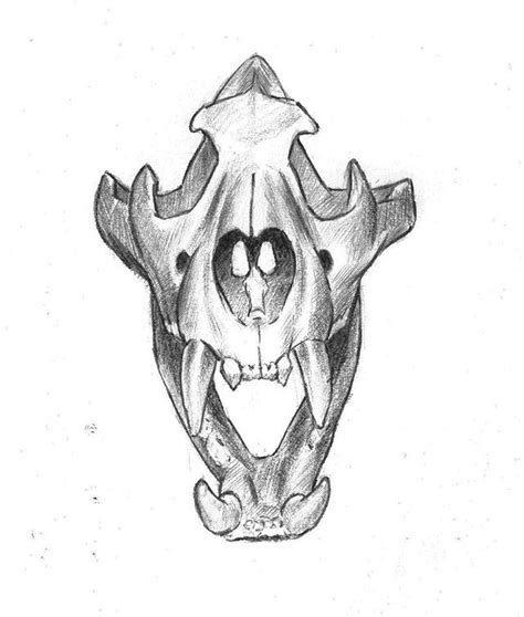 Sketching 📓💀 Tiger Skull 🐯 Drawing Sketchdailies Sketch
