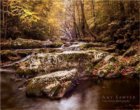 October Autumn Sunrise At Tremont In The Great Smoky Mountains Black