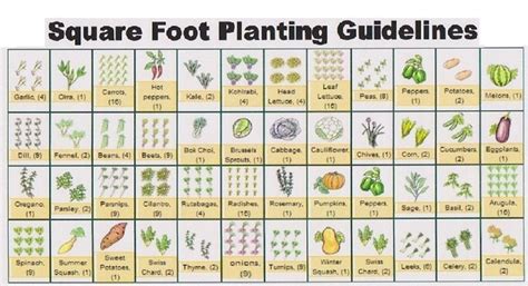 Plant the right plants together to get the best yield. Pin by Amy Weller on garden | Square foot gardening plans ...