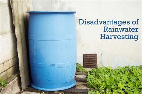 Rain Water Harvesting Model Explanation Infoupdate Org