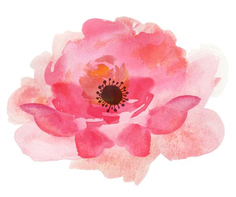Free Watercolor Flowers Roses Drawing Pink Watercolor Flower