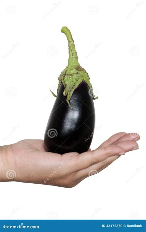 Eggplant In Hand Stock Photo Image 43472370