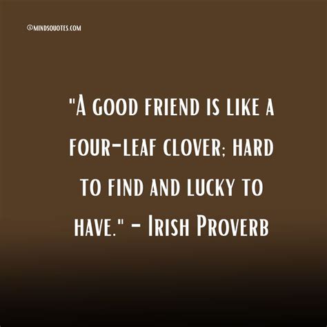 50 heart touching quotes on friendship you ll never forget