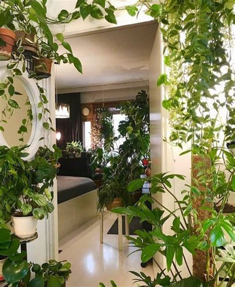 42 Amazing Indoor Garden Decorations Tips And Ideas