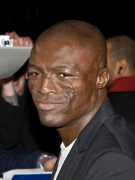 Seal — crazy (hits 2009). Seal - Wikipedie