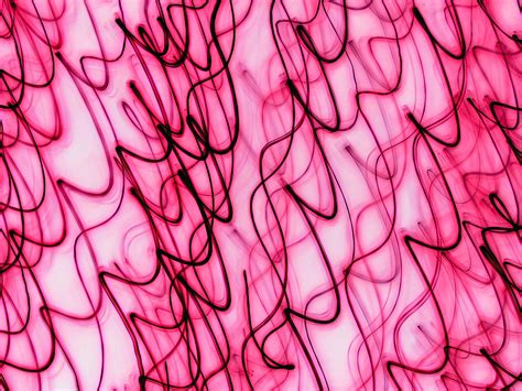 Supercoloring.com is a super fun for all ages: Abstract Pink Free Stock Photo - Public Domain Pictures