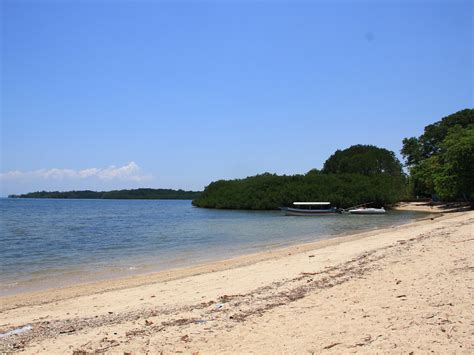 Pantai Bama, Pantai Eksotik di Balik Taman Nasional Baluran - Indonesia Kaya