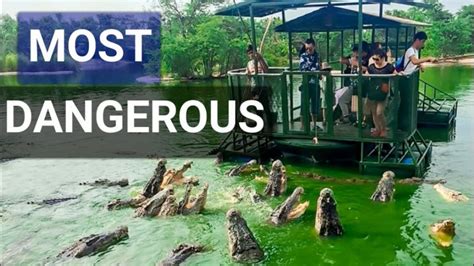 5 Most Dangerous Tourist Destinations In The World Newstrack English 1