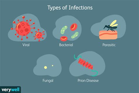 Bacteria Definition Types And Infections Powerpoint T