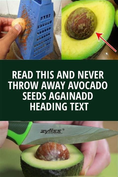 Read This And Never Throw Away Avocado Seeds Again