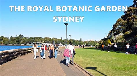 Royal Botanic Gardens Sydney Australia Day Fasci Garden