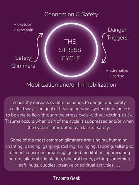 The Stress Cycle Poster Updated Instant Download — Trauma Geek