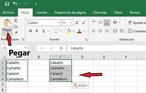 Macro Para Copiar Y Pegar Celdas En Excel Con Vba My Xxx Hot Girl