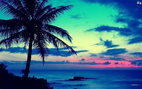 Wallpaper Sunset Sea Sky Beach Evening Coast Horizon Dusk Caribbean Tree Ocean