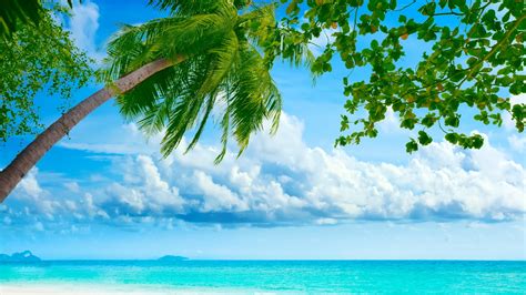 Exotic Summer Day High Definition Wallpapers Hd Wallpapers