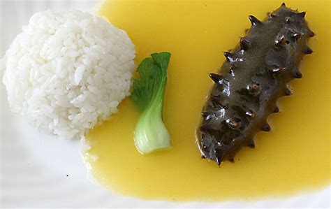 It is a sea creature, resembling a cucumber in appearance, which is related to sea it is considered a delicacy in some cultures, and is a staple of some forms of chinese cuisine. Chinese sea cucumber farming ready to bounce back ...