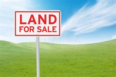 Signboard With Land For Sale Text Real Estate Concept Land For Sale