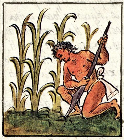 Aztec Farming