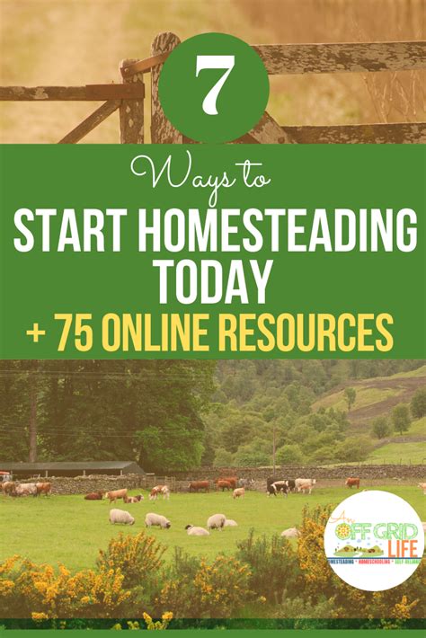 7 ways to start homesteading today backyard farming homesteading easy backyard