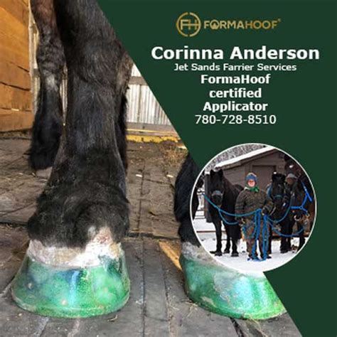 Jet Sands Farrier Services Fca Corinna Anderson Formahoof