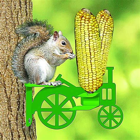 Bring your dog or cat to one of the special pet care clinics conducted by vip petcare. Tractor Corn Cob Squirrel Feeder Wild Bird Supplies ...