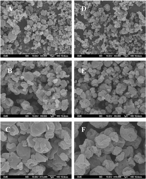 Sem Micrographs Of Microgels Obtained After Spray Drying Method