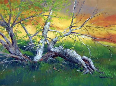Pastel Landscape Painting In The National Parks Artists Network