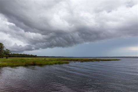 Storm Over Lake Louisa State Park Matthew Paulson Photography