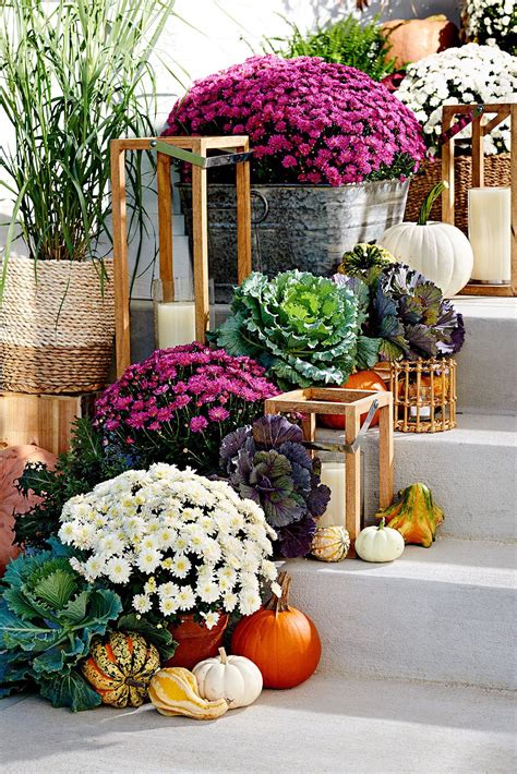 Technically a man doesn't need to ejaculate unless he is creating a baby. 36 Pretty Fall Front Entry Ideas You Can Keep Up All ...