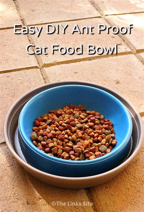 Keep cat bowls away from the litter box. How to Keep Ants out of Cat Food (A Quick and Easy DIY ...