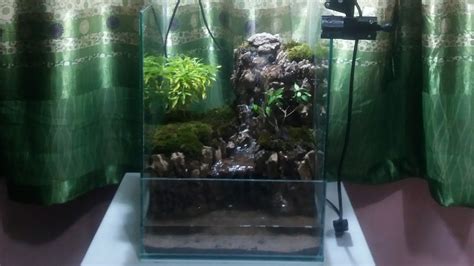 Pin On Making An Aquaterrarium With Two Flowing Waterfalls