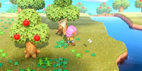 Animal Crossing Every New Bug Coming In July