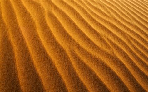 Wallpaper Desert Sand Texture Stripe 2560x1600 Hd Picture Image