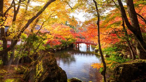New and best 97,000 of desktop wallpapers, hd backgrounds for pc & mac, laptop, tablet, mobile phone category: Autumn Park In Fushimi Ward Japan 4k Ultra Hd Wallpaper ...