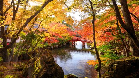 Find the best 4k windows 10 wallpaper on getwallpapers. Autumn Park In Fushimi Ward Japan 4k Ultra Hd Wallpaper ...