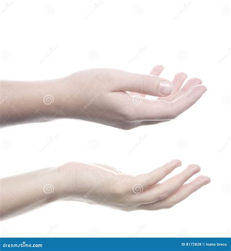 Hands Receiving Stock Photo Image Of Hands Body Person 8172828