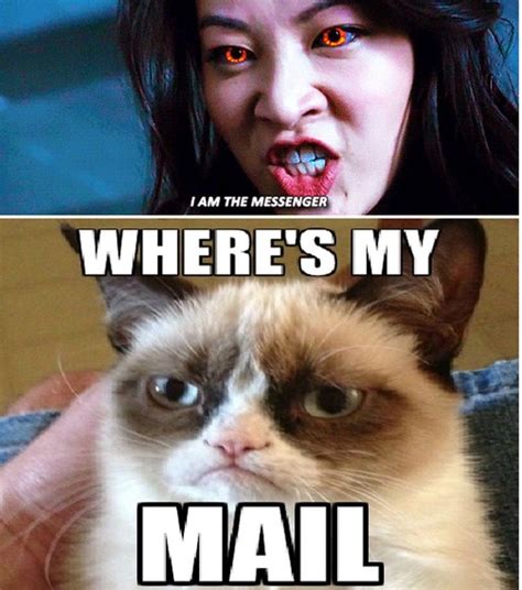 Grumpy Cat Quotes Funny Grumpy Cat Memes Cat Jokes Funny Minion