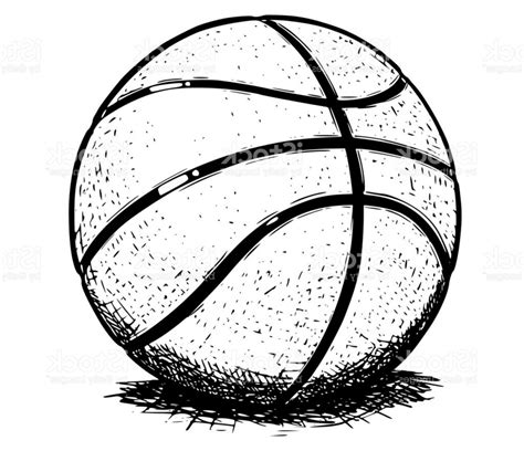 Basketball Ball Vector At Getdrawings Free Download