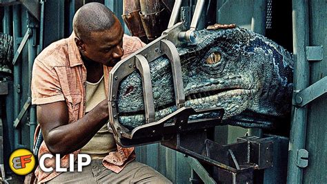 Raptors Cage Scene Jurassic World 2015 Movie Clip Hd 4k Youtube