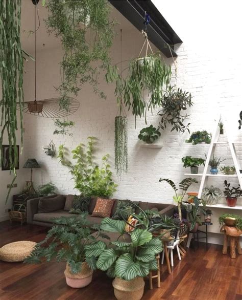 Interior Design Plants Inside House Domestic Interiors With Statement