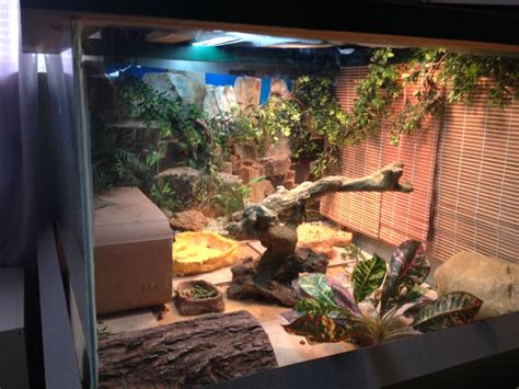 The king of diy also known as uarujoey (that link is to his channel on youtube). Bearded dragon enclosure | Bearded dragon, Bearded dragon ...