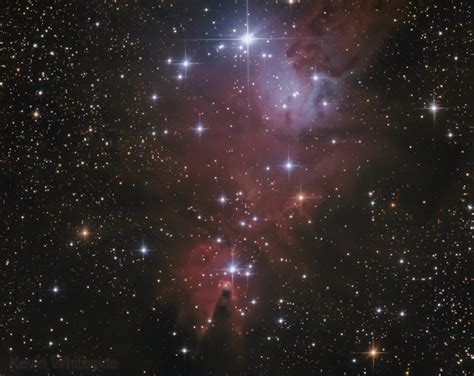 Cone And Fox Fur Nebula Ngc 2264 Kevin Whiteside Astrobin
