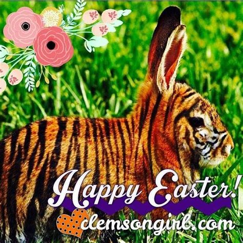 Clemson Girl Happy Easter From Our Tiger Bunny Clemson Fans