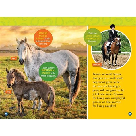 正版 Gallop 100 Fun Facts About Horses L3 National Geographic Kids