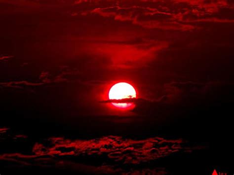 Image Detail For Free Blood Red Sunset Wallpaper Download The Free