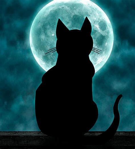 Cat With Moon By Kuvaajankulma On Deviantart Black Cat Art Cat Art
