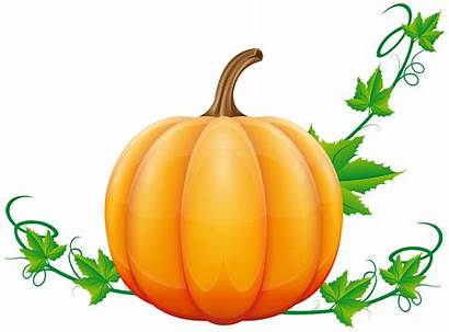 Pumpkin Clip Fall Halloween Clipart Transparent Happy