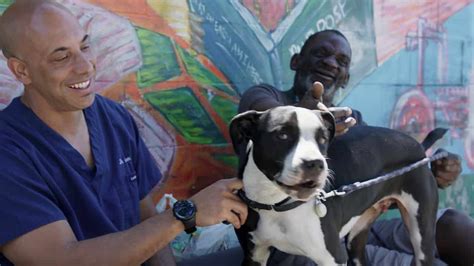 Street Vet California Veterinary Doctor Gives Care To Homeless Pets In
