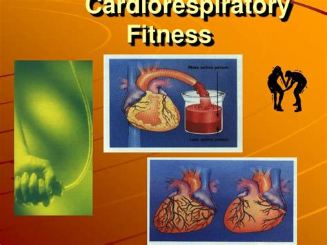 Ppt Cardiorespiratory Fitness Powerpoint Presentation Free Download
