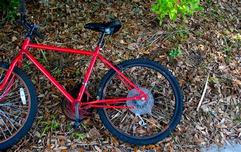 Vinegar is an effective enough material to remove rust from metal objects. UF Red Bike Rust Rims Tires Wheels Bicycle Ground Leaves G ...